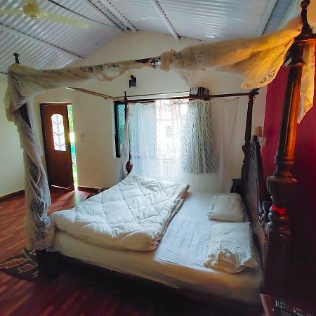 Green View Cottage อาบูโรด ภายนอก รูปภาพ
